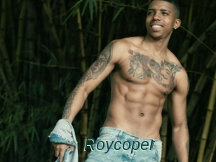 Roycoper