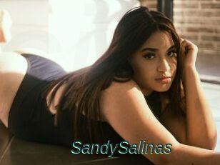 SandySalinas