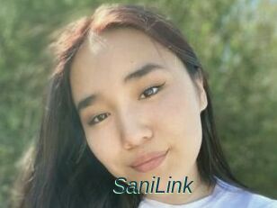 SaniLink