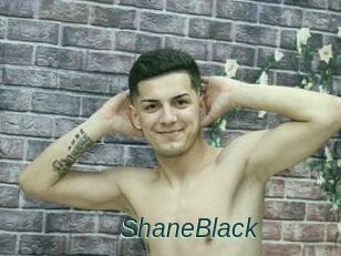 ShaneBlack