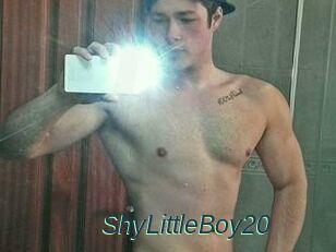 ShyLittleBoy20