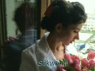 Silkworm