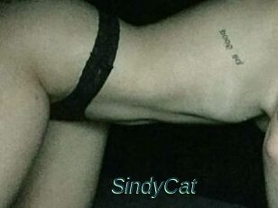 SindyCat