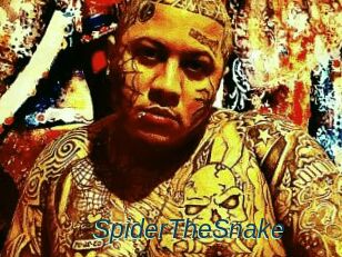 SpiderTheSnake