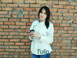 Tulip