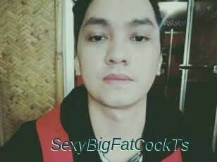 _SexyBigFatCockTs_