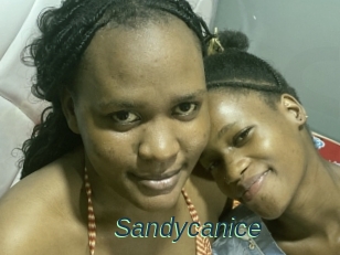 Sandycanice