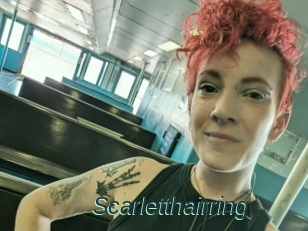 Scarletthairring