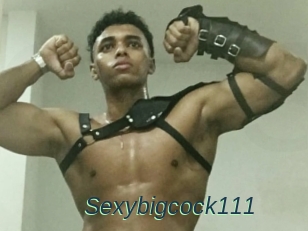 Sexybigcock111