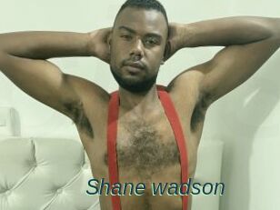 Shane_wadson