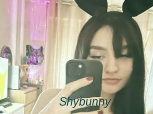 Shybunny