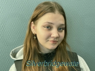 Silverbridgewate