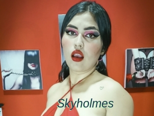 Skyholmes