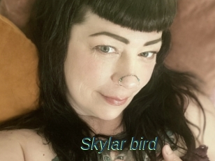 Skylar_bird