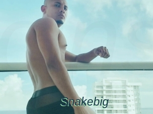 Snakebig