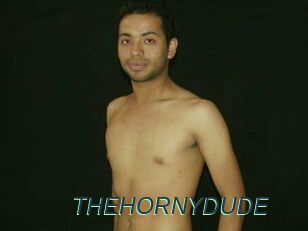 THEHORNYDUDE