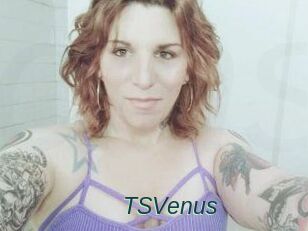 TS_Venus