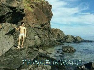 TWINKELIKINGUD