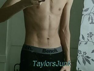 TaylorsJunk