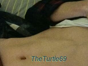 TheTurtle69