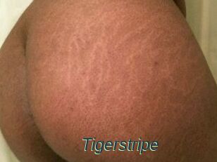 Tigerstripe