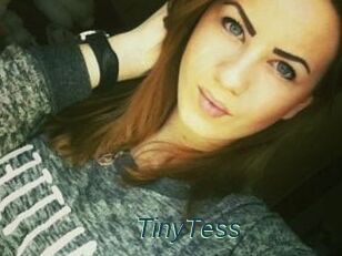 TinyTess