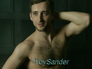 TroySander