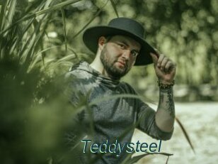 Teddysteel