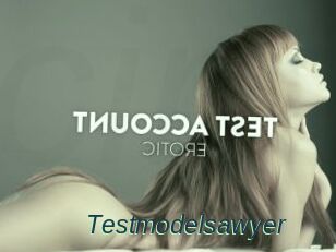 Testmodelsawyer