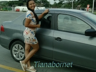 Tianabornet