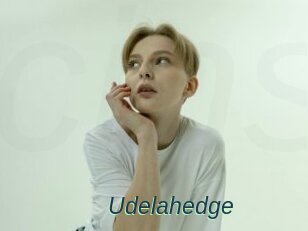 Udelahedge