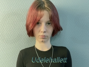 Udelehallett