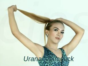 Uranacondacock