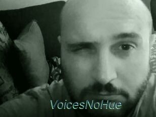 VoicesNoHue