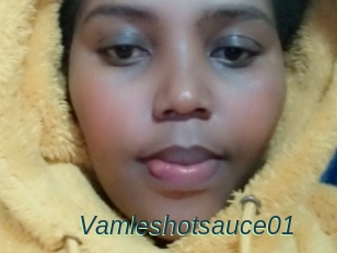 Vamleshotsauce01