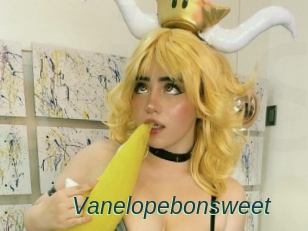 Vanelopebonsweet