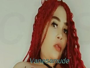 Vanesamude