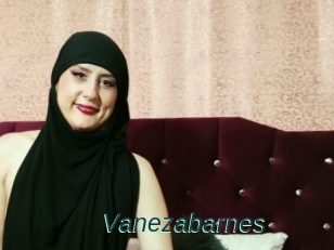 Vanezabarnes