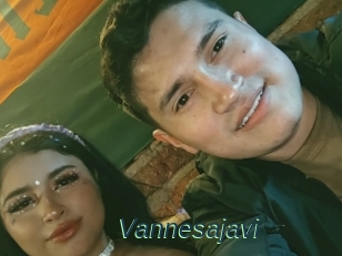 Vannesajavi