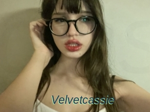 Velvetcassie