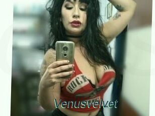 Venusvelvet