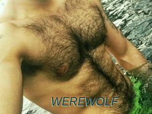 WEREWOLF