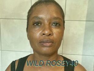 WILD_ROSEY40