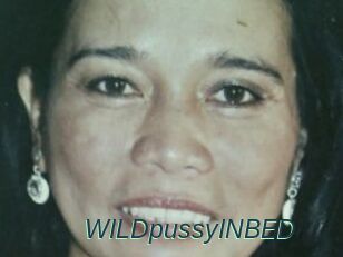 WILDpussyINBED