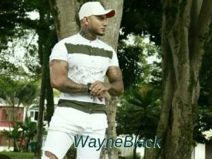 WayneBlack