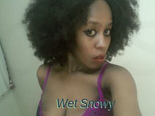 Wet_Snowy