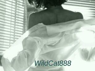 WildCat888