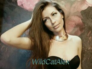 WildCatAlex