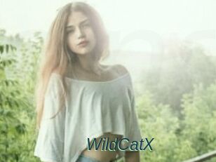 Wild_CatX