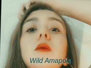 Wild_Amapola